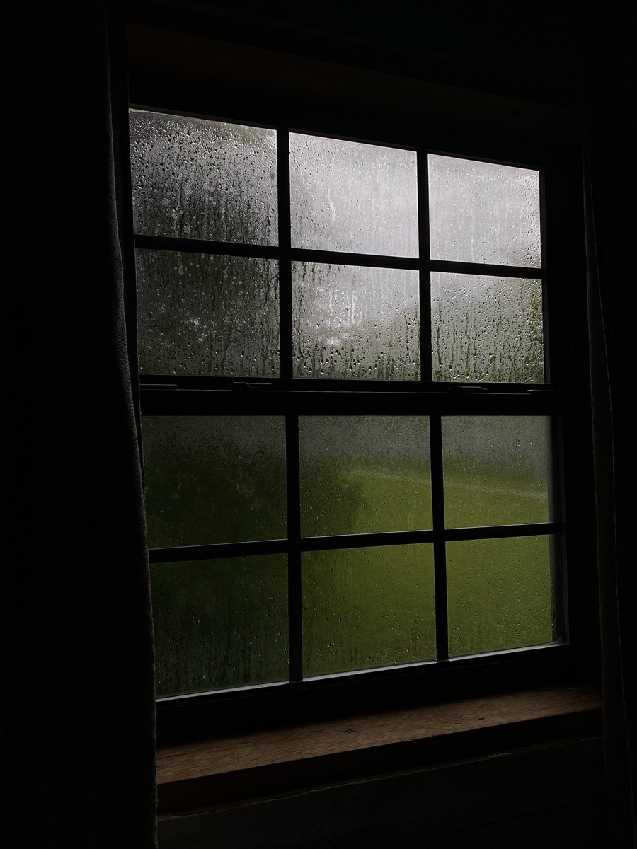 Condensation and rain on a dark-framed window looking onto a green garden