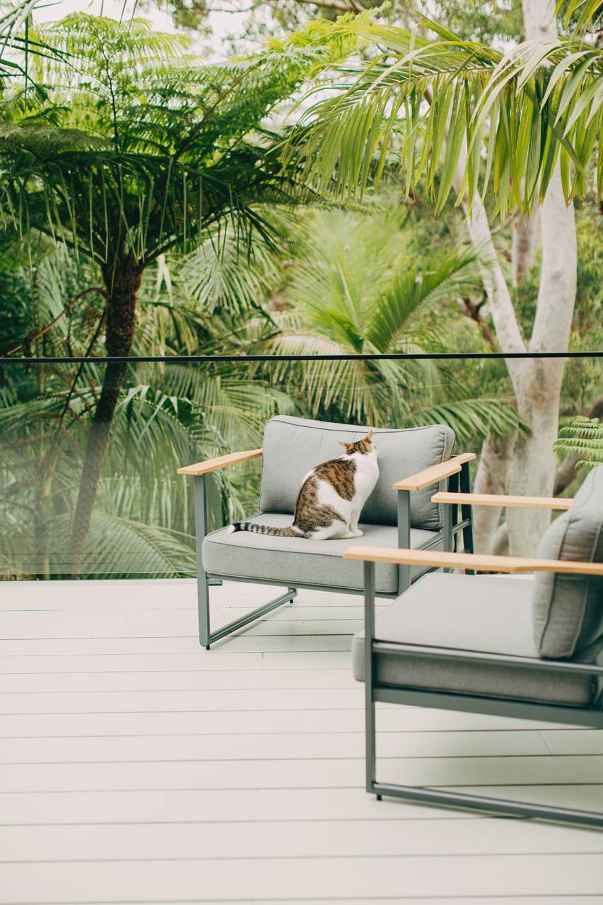 Deck corner with outdoor lounge seating and a leafy bushland outlook at the Chatswood home