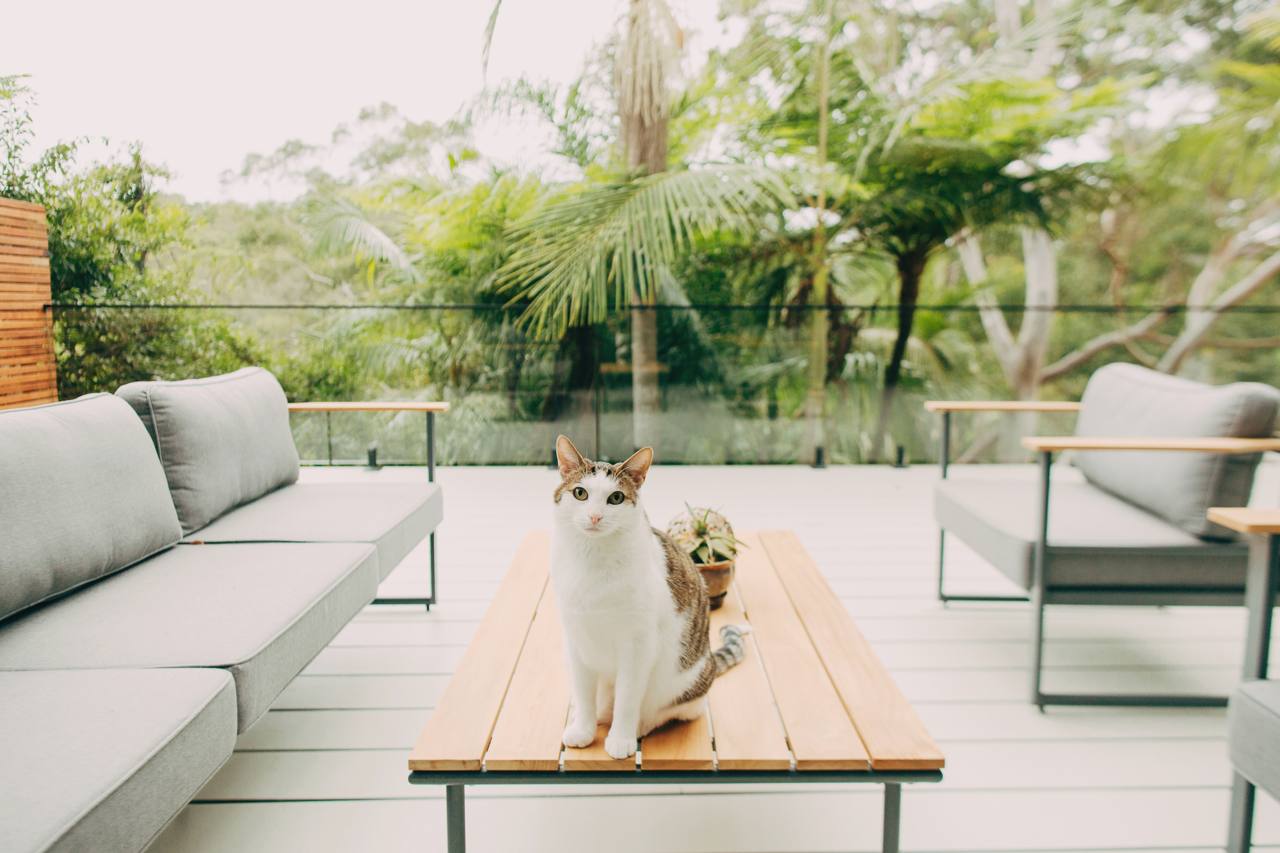 Outdoor lounge seating on the Chatswood deck with a slimline glass balustrade and leafy outlook