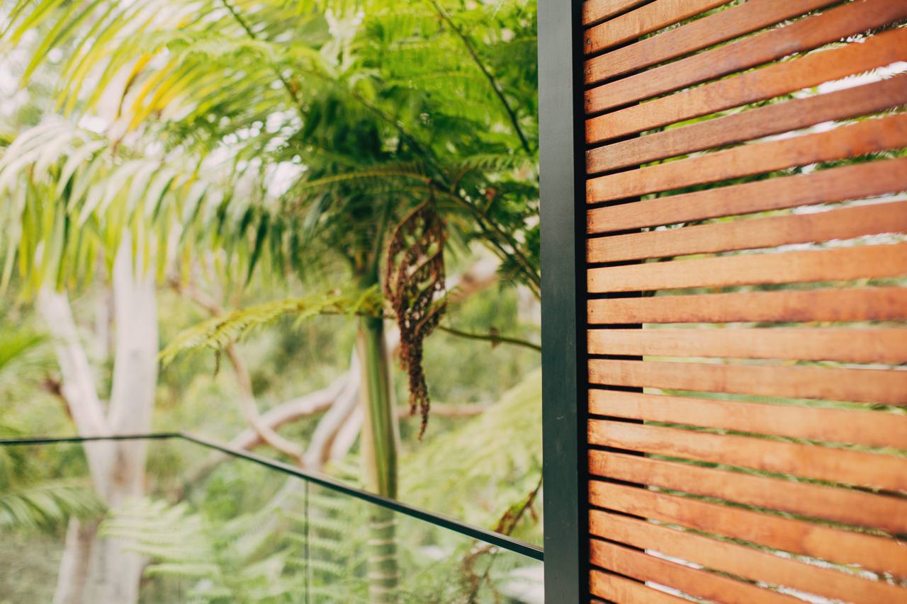 Slimline glass balustrade and hardwood battens framing the leafy outlook at the Chatswood home
