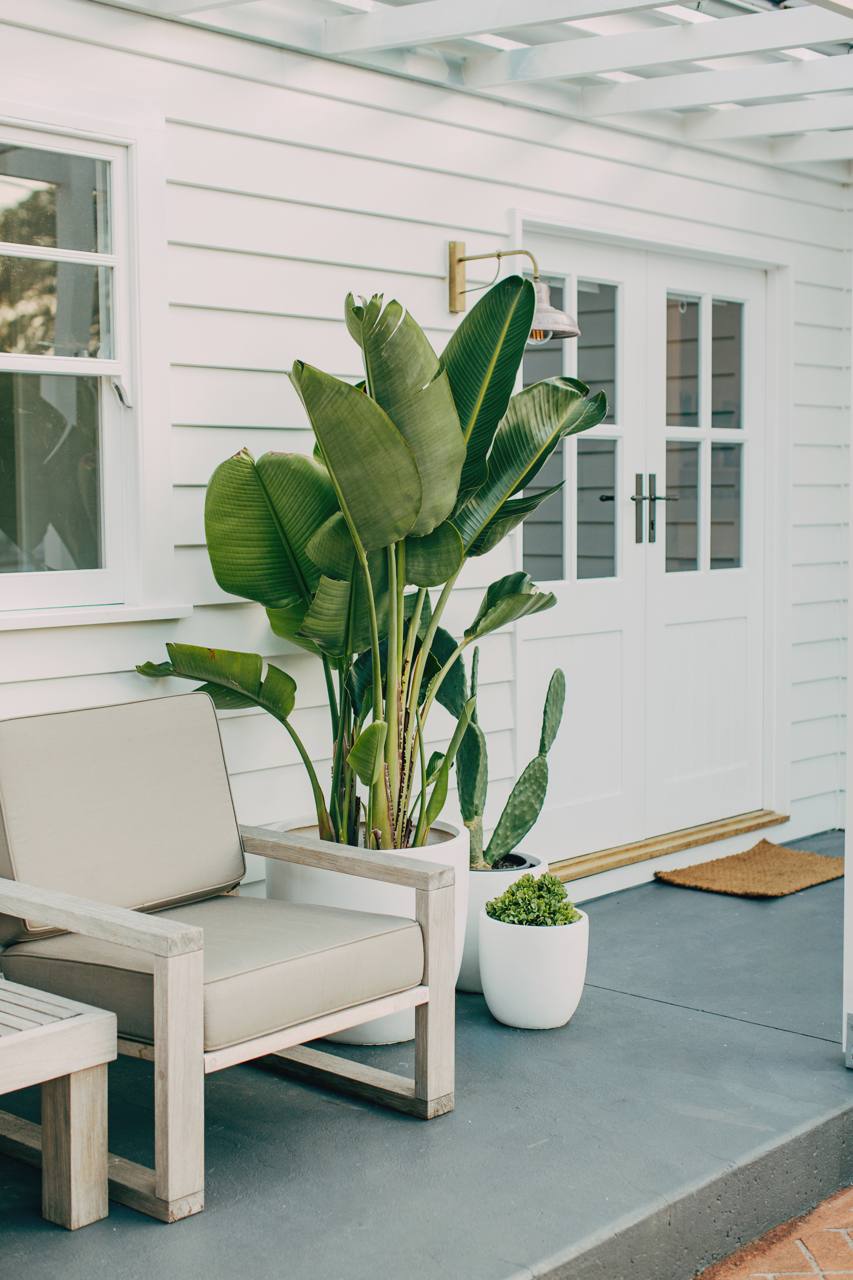 Timber deck with outdoor seating and planting at the North Narrabeen home